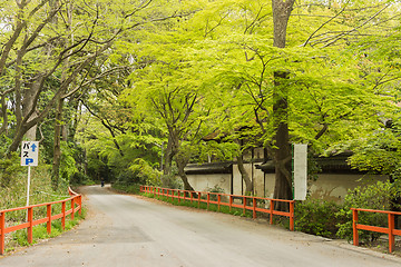 Image showing boulevard near Shimogamo Shrine