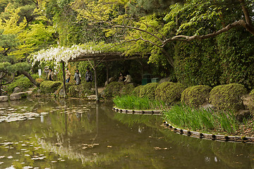 Image showing The scenery of Japanese garden near Heian Shrine.