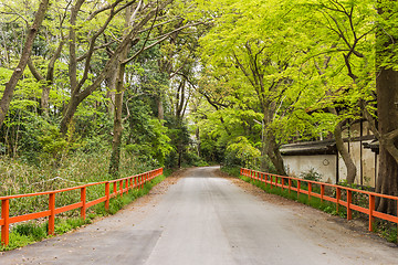 Image showing boulevard