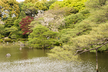 Image showing The scenery of Japanese garden with the pone.