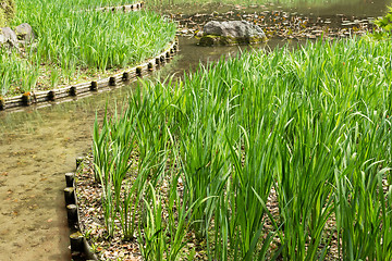 Image showing The green grass gardening and stone in the pond.