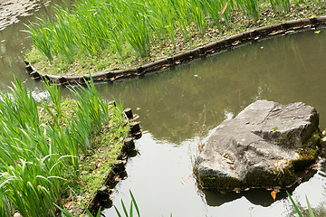 Image showing The green grass gardening and stone in the pond.