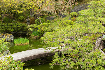 Image showing Scenery Japanese garden 