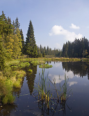 Image showing Summer landscape 