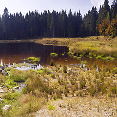 Image showing Autumn landscape 