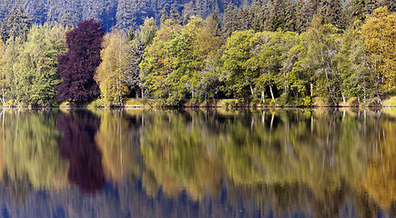 Image showing Autumn landscape 