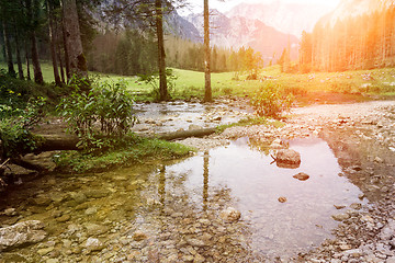 Image showing water and trees