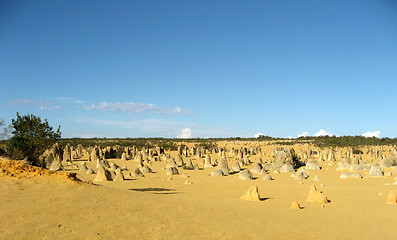 Image showing The Pinnacles