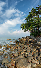 Image showing Coast of the tropical sea. Vertical landscape. Thailand, Phuket 