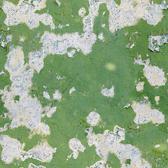 Image showing Green old paint on a concrete wall - seamless background