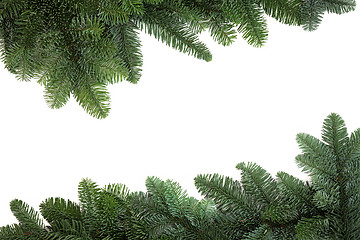 Image showing Spruce Fir Border