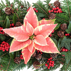 Image showing Poinsettia Decoration