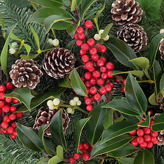 Image showing Winterberry Holly