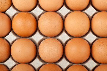 Image showing Lots of eggs