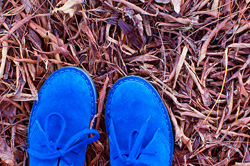 Image showing close-up of shoes 