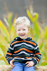 Image showing kid at pumpkin patch