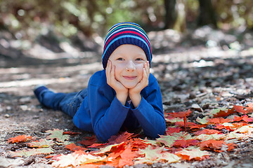 Image showing kid at fall