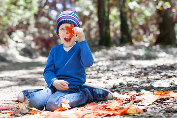 Image showing kid at fall