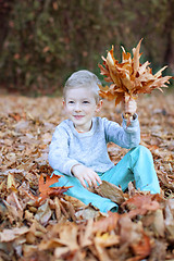 Image showing kid at fall