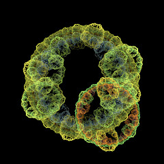 Image showing Symmetrical growth of bacteria