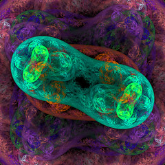 Image showing Twin bacteria