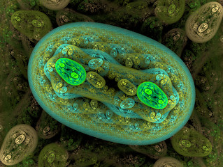 Image showing Close up of huge bacteria