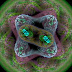 Image showing Symmetrical growth of bacteria