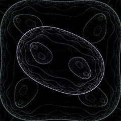 Image showing Symmetrical growth of bacteria