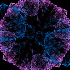 Image showing Symmetrical growth of bacteria