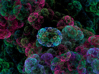 Image showing Symmetrical growth of bacteria