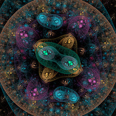 Image showing Symmetrical growth of bacteria