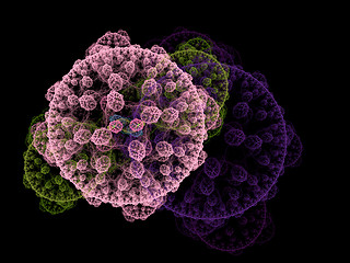 Image showing Symmetrical growth of bacteria