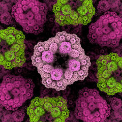 Image showing Symmetrical growth of bacteria