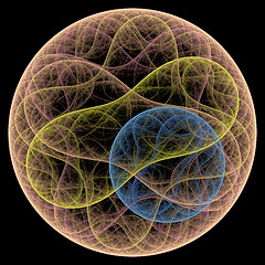 Image showing Symmetrical growth of bacteria