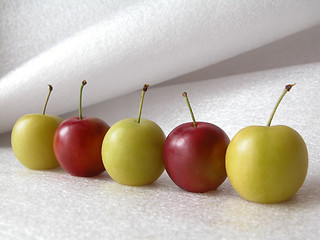 Image showing plums