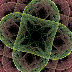 Image showing Symmetrical growth of bacteria