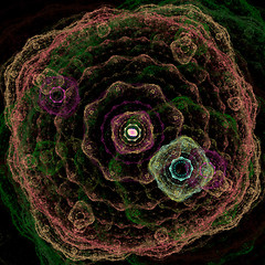 Image showing Symmetrical growth of bacteria