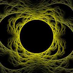 Image showing Symmetrical growth of bacteria