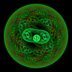 Image showing Symmetrical growth of bacteria