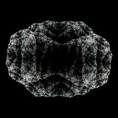 Image showing Symmetrical growth of bacteria