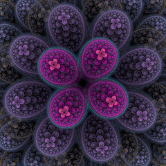 Image showing Symmetrical growth of bacteria