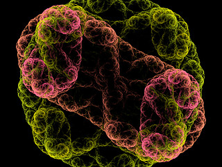 Image showing Symmetrical growth of bacteria