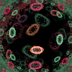 Image showing Trapped bacteria