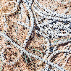 Image showing Fishing net