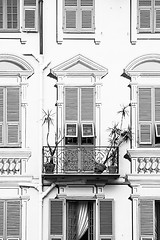 Image showing Elegant vintage facade.