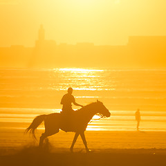 Image showing Horse riding on the beach at sunset.