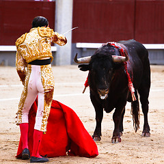 Image showing Traditional corrida - bullfighting in spain