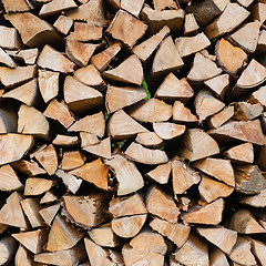 Image showing Dry chopped firewood logs.