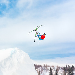 Image showing Free style skier.