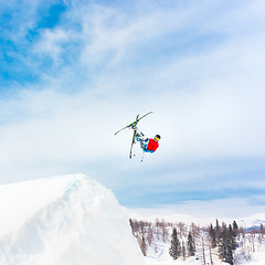 Image showing Free style skier.